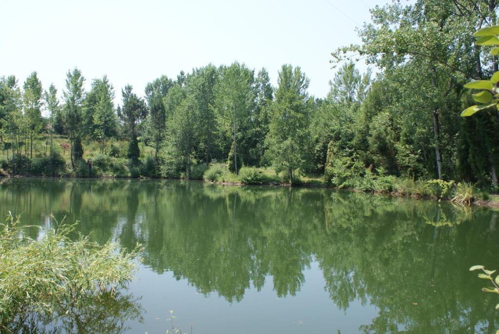 منزل الضيف فيلا فيرد  في Quinta Do Sobreiro المظهر الخارجي الصورة