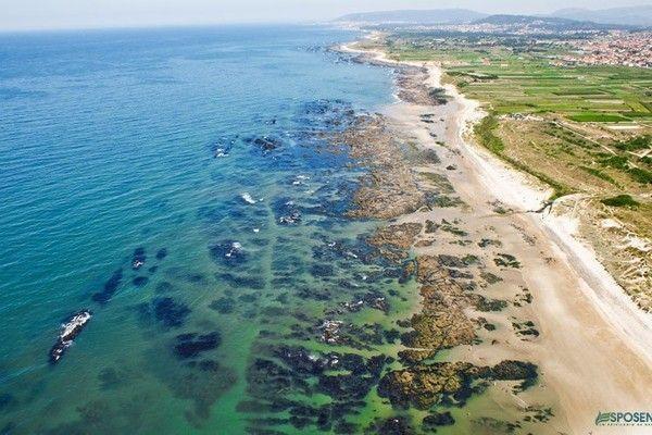 منزل الضيف فيلا فيرد  في Quinta Do Sobreiro الغرفة الصورة