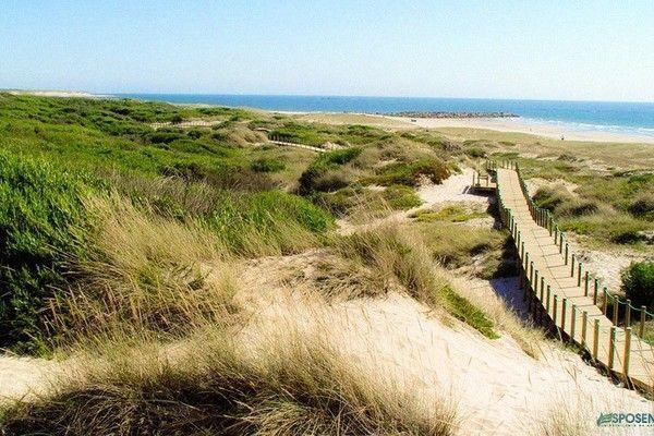 منزل الضيف فيلا فيرد  في Quinta Do Sobreiro الغرفة الصورة